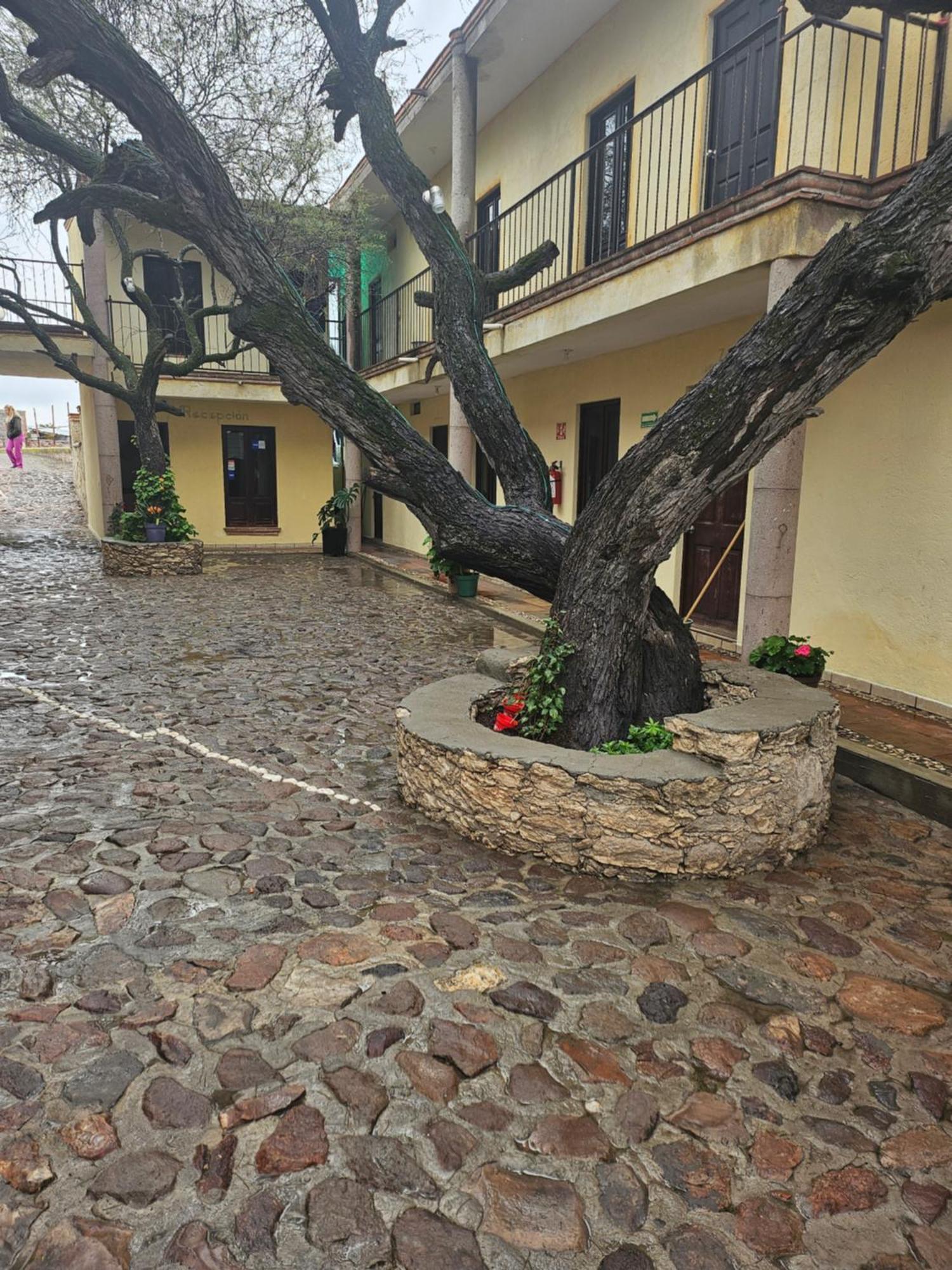 Hotel Villa Aurora Берналь Экстерьер фото